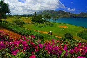 nature, Landscape, Water, Trees, Sea, Hawaii, Golf Course, Flowers, Grass, Sand, Palm Trees, Mountain, Hill, Clouds