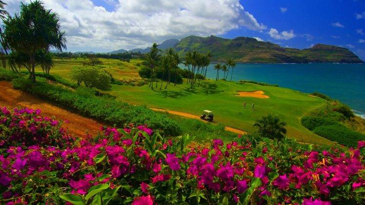 nature, Landscape, Water, Trees, Sea, Hawaii, Golf Course, Flowers, Grass, Sand, Palm Trees, Mountain, Hill, Clouds HD Wallpaper Desktop Background