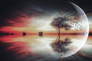 moon, Fantasy Art, Trees, Birds, Landscape, Lake, Reflection