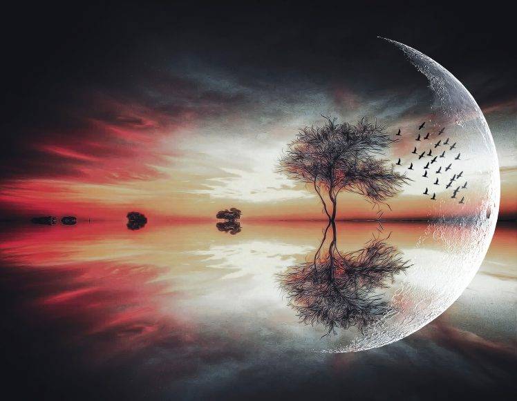 moon, Fantasy Art, Trees, Birds, Landscape, Lake, Reflection HD Wallpaper Desktop Background