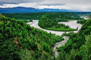 nature, Landscape, River, Forest, Mountain, Trees