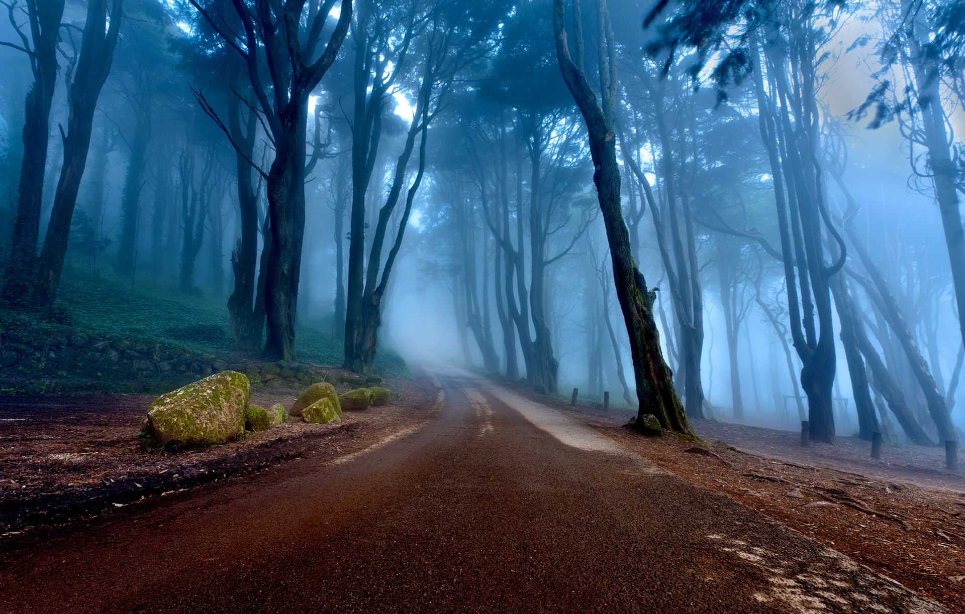 nature, Landscape, Trees, Forest, Mist, Road, Portugal, Stones, Moss, Roots, Morning, Rock Wallpaper