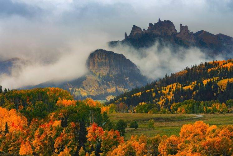 nature, Landscape, Mountain, Trees, Forest, USA, Colorado, Field, Fall, Mist, Clouds HD Wallpaper Desktop Background