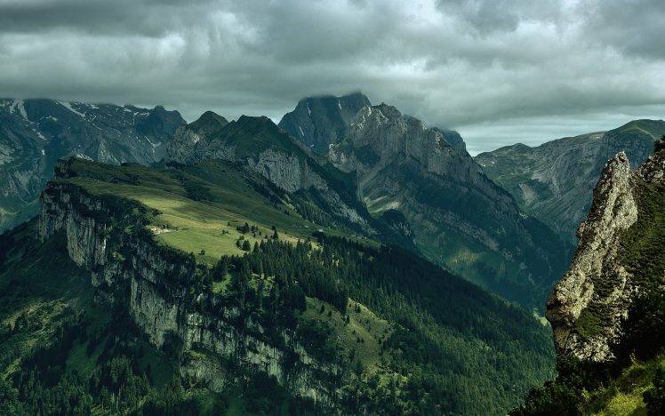 trees, Mountain, Landscape HD Wallpaper Desktop Background