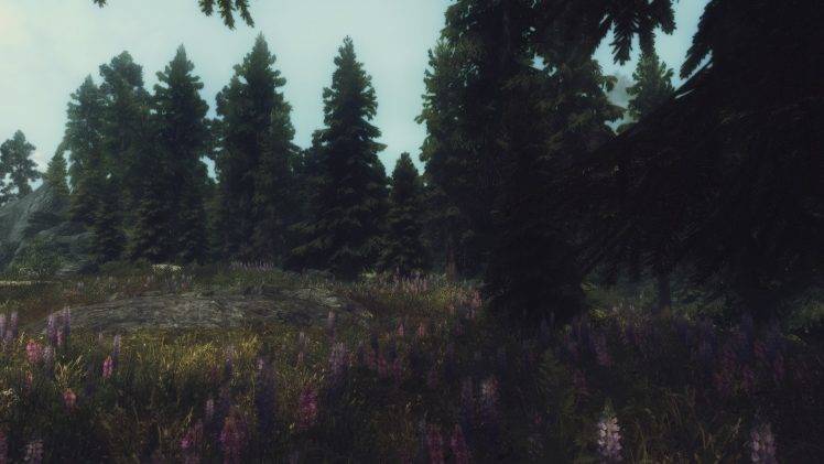 landscape, The Elder Scrolls V: Skyrim HD Wallpaper Desktop Background