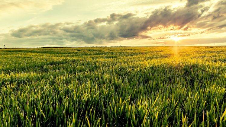 nature, Field, Landscape, Sunlight, Clouds, Grass, Sunset HD Wallpaper Desktop Background