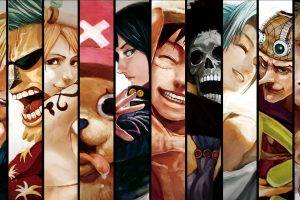 One Piece, Roronoa Zoro, Usopp, Brook, Monkey D. Luffy, Nico Robin, Tony Tony Chopper, Nami, Franky, Sanji, Anime