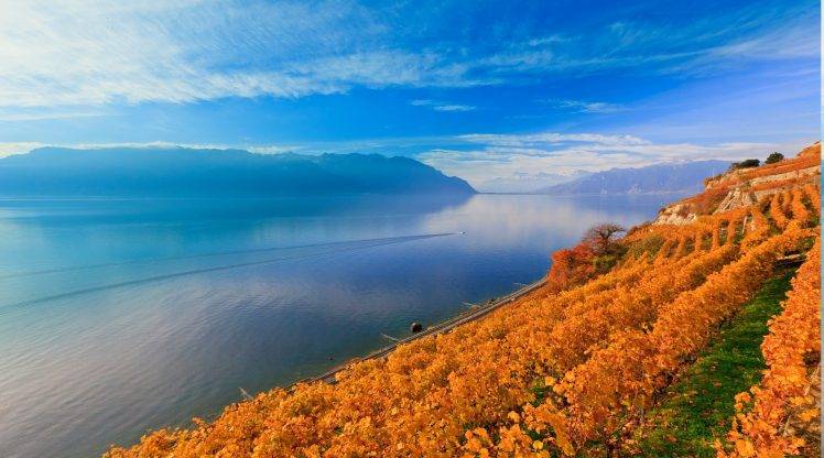 nature, Landscape, Lake, Fall, Vineyard, Mountain, Water, Le Lavaux, Switzerland, Terraced Field HD Wallpaper Desktop Background