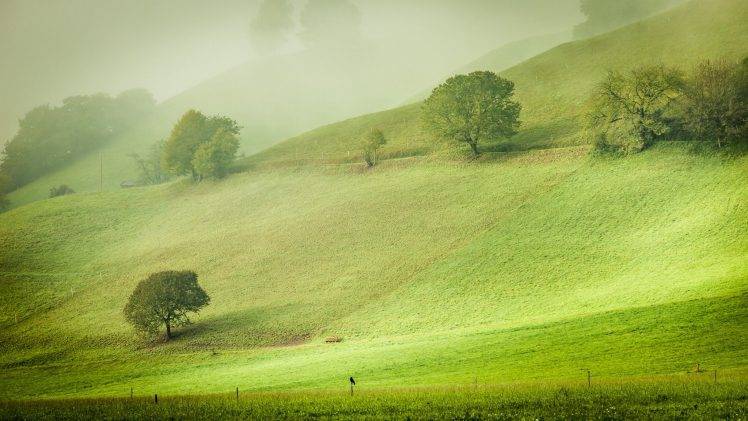 nature, Landscape, Hill, Trees, Austria, Grass, Field, Mist, Morning, Bench, Europe, Green HD Wallpaper Desktop Background