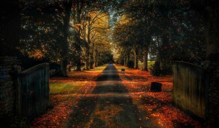 trees, Road, Nature, Landscape, Fall, Gates HD Wallpaper Desktop Background