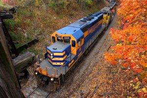 nature, Landscape, Railway, Train, Trees, USA, Wood, Leaves, Fall, Forest, Diesel Locomotives, Valley