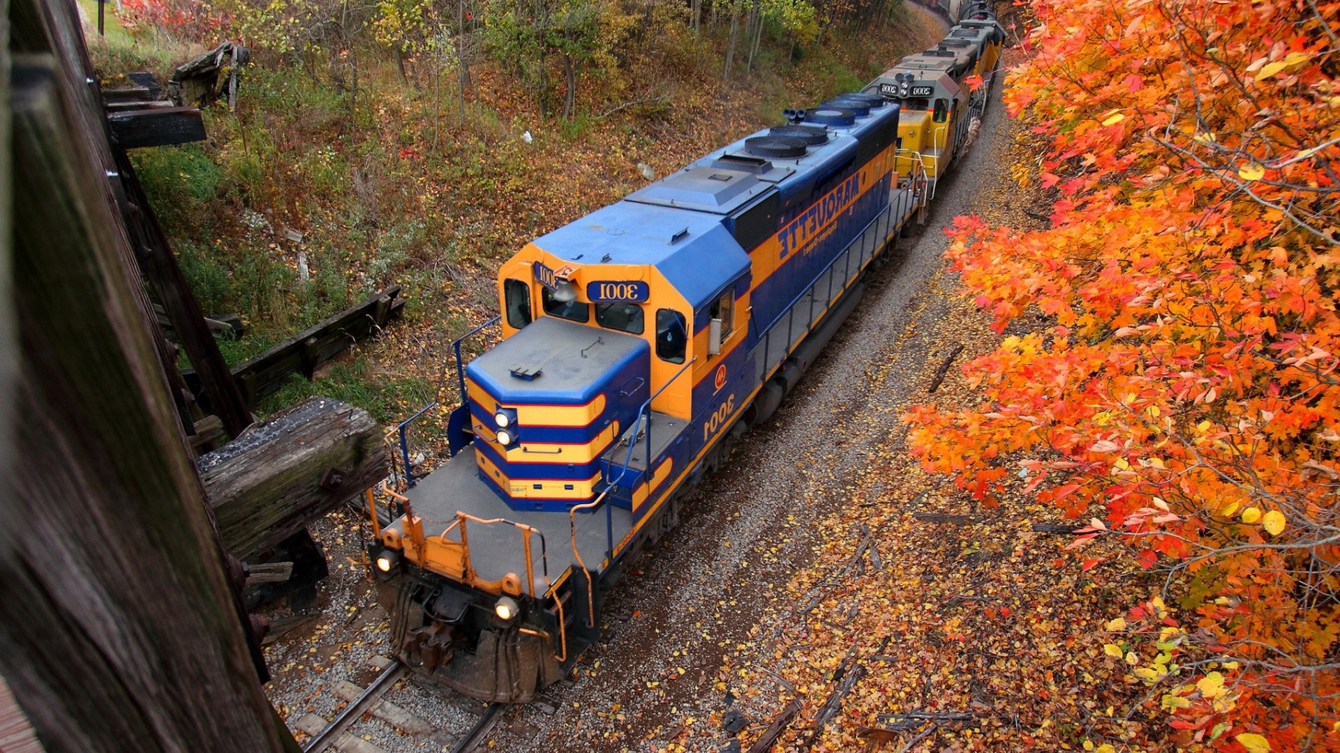 nature, Landscape, Railway, Train, Trees, USA, Wood, Leaves, Fall, Forest, Diesel Locomotives, Valley Wallpaper