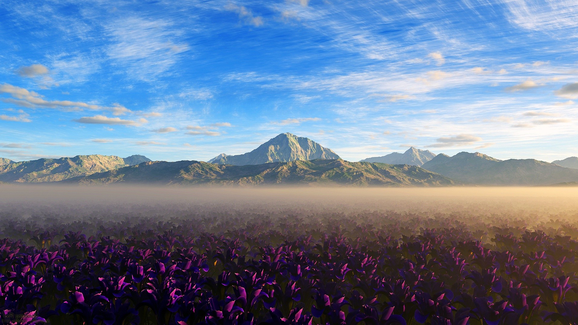 landscape, Flowers, Nature, Mountain, Purple Flowers Wallpaper