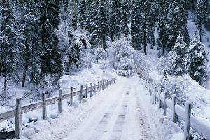 nature, Landscape, Winter, Snow, Bridge