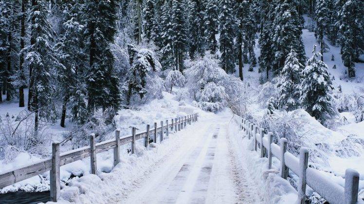 nature, Landscape, Winter, Snow, Bridge HD Wallpaper Desktop Background