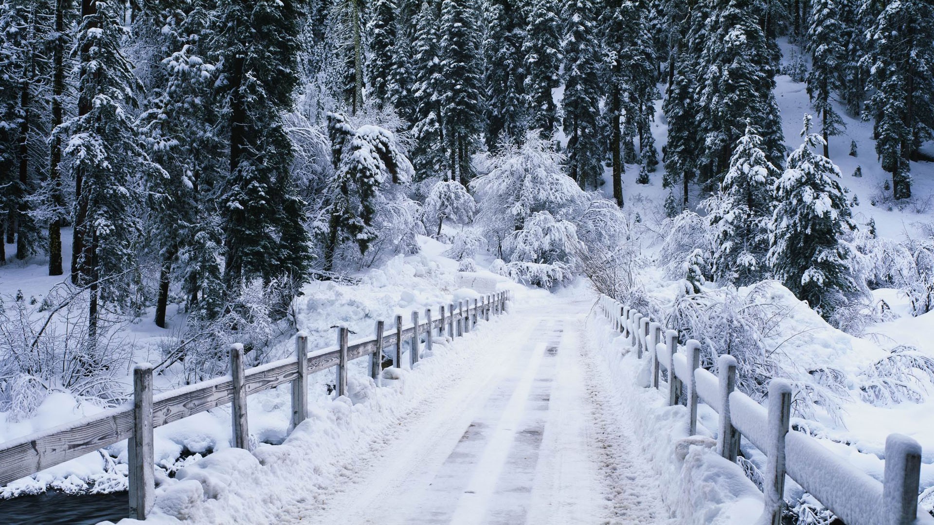 nature, Landscape, Winter, Snow, Bridge Wallpaper