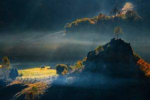 sunrise, Field, Romania, Nature, Trees, Hill, Landscape, Morning, Mist
