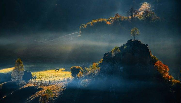 sunrise, Field, Romania, Nature, Trees, Hill, Landscape, Morning, Mist HD Wallpaper Desktop Background