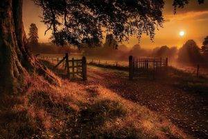 fall, Sunrise, Trees, Grass, Fence, Gates, Road, Sun Rays, Nature, Landscape, Field