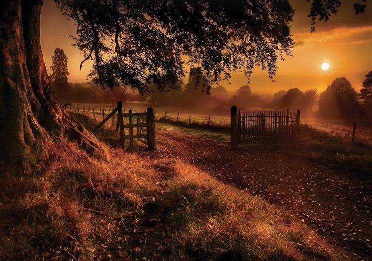 fall, Sunrise, Trees, Grass, Fence, Gates, Road, Sun Rays, Nature, Landscape, Field HD Wallpaper Desktop Background