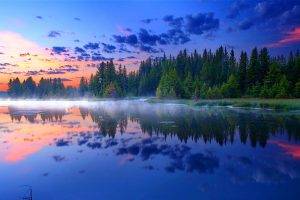 morning, Sunrise, Mist, Grand Teton National Park, Forest, Reflection, Lake, Grass, Nature, Landscape