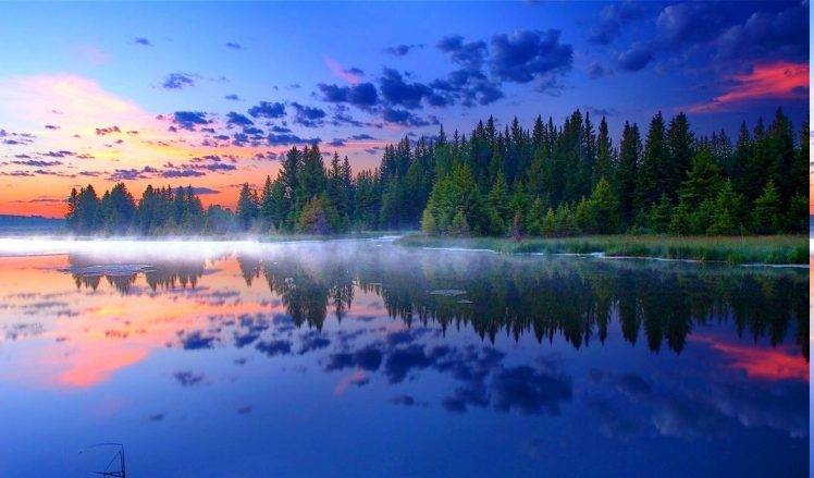 morning, Sunrise, Mist, Grand Teton National Park, Forest, Reflection, Lake, Grass, Nature, Landscape HD Wallpaper Desktop Background
