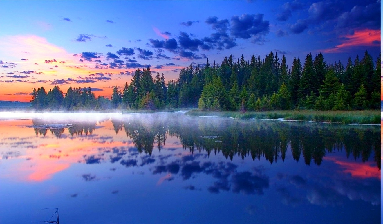 morning, Sunrise, Mist, Grand Teton National Park, Forest, Reflection, Lake, Grass, Nature, Landscape Wallpaper