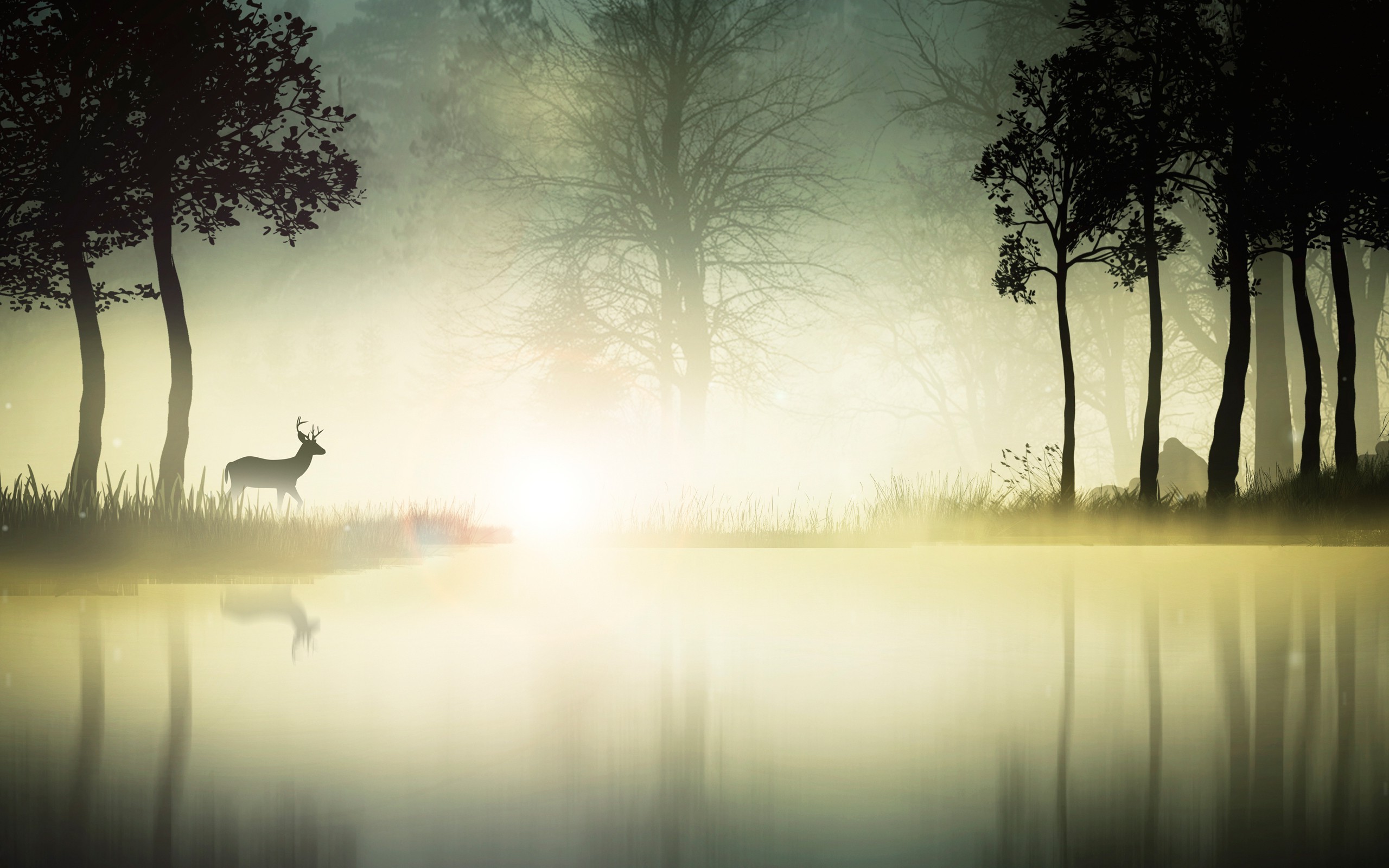 nature, Environment, Landscape, River, Deer, Animals Wallpaper
