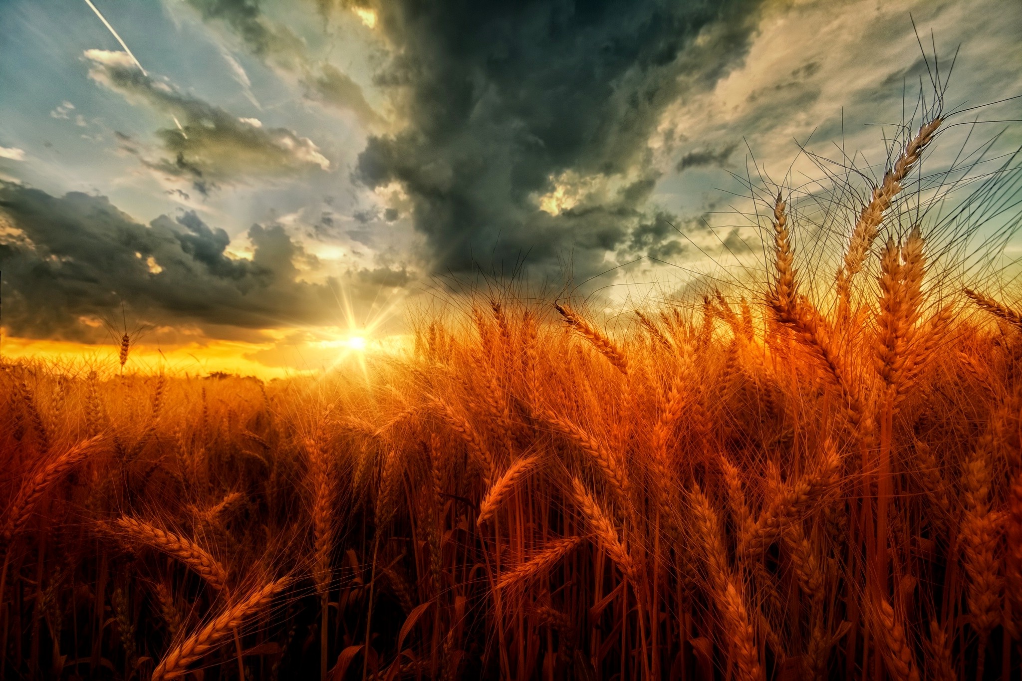nature, Landscape, Sunset, Clouds, Field, Wheat, Yellow, Orange Wallpaper