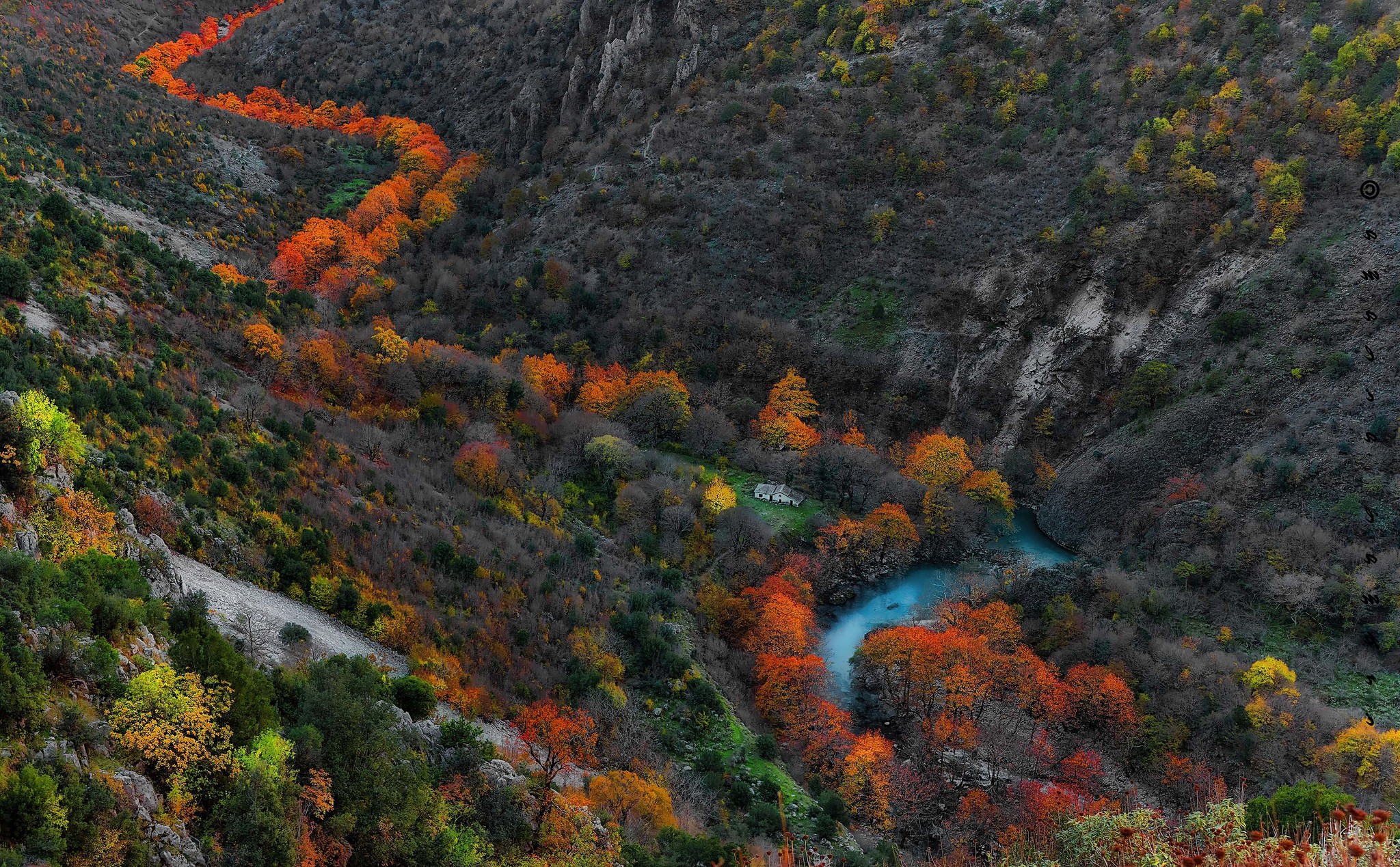 mountain, River, Nature, Fall, Gorge, Trees, Landscape, Orange, Yellow, Green, Blue Wallpaper