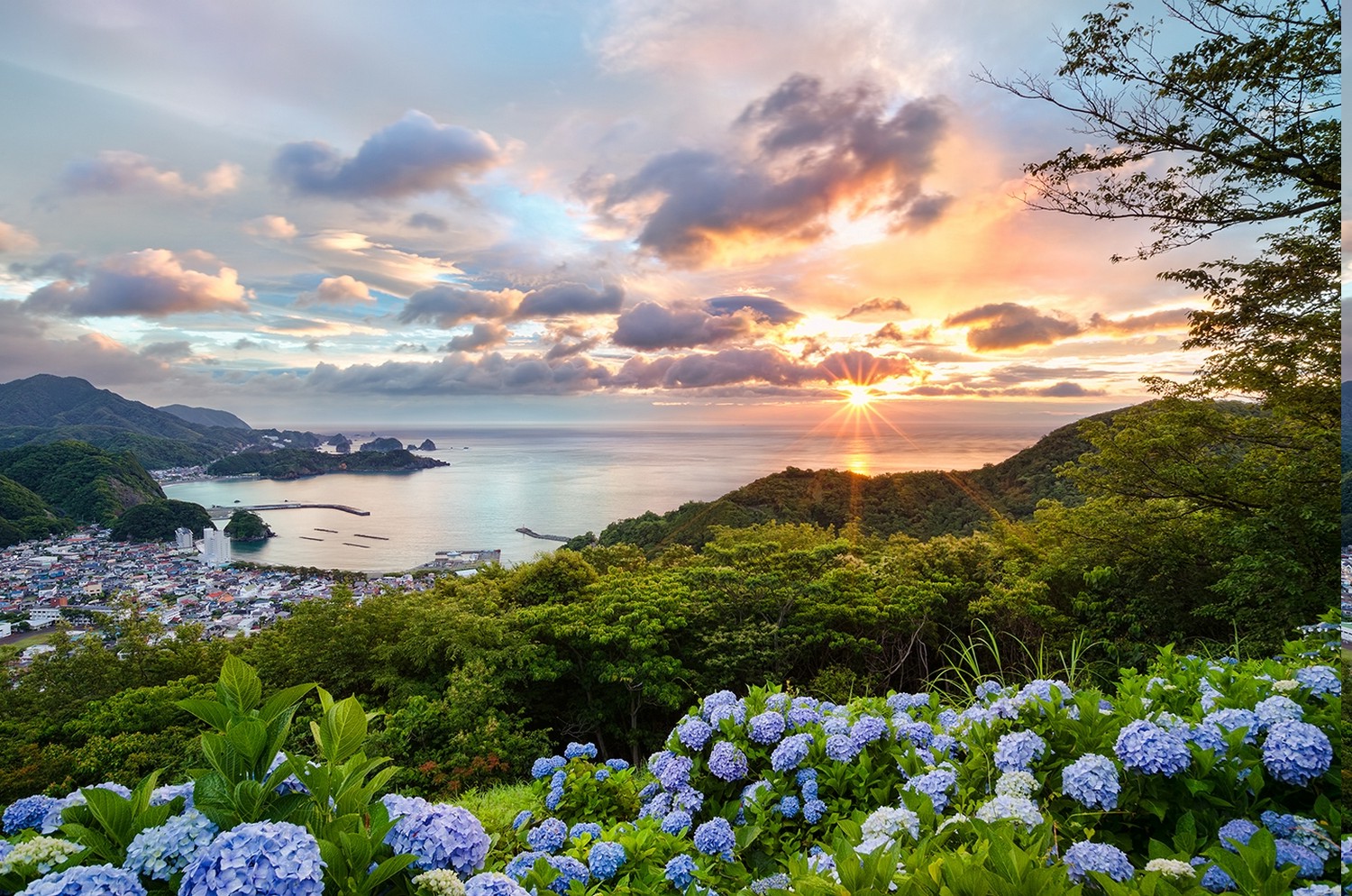 Japan, Sunset, Cityscape, Flowers, Hill, Trees, Hydrangea, Bay, Ports, Summer, Clouds, Green, Orange, Blue, Purple, Nature, Landscape, Blue Flowers Wallpaper