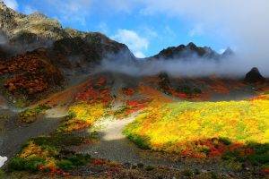 nature, Landscape, Trees, Forest, Fall, Colorful, Mountain, Hill, Mist, Clouds, Sunlight, Snow, Rock, Stones