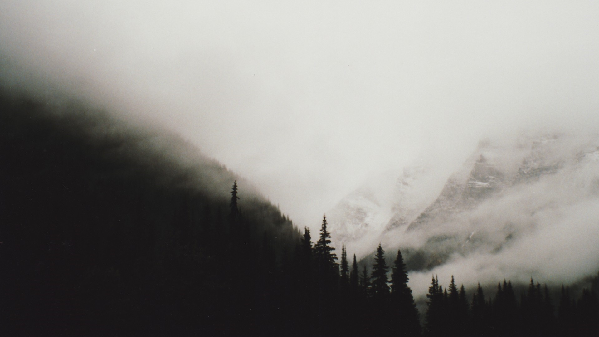 monochrome, Mist, Landscape, Trees, Mountain Wallpaper