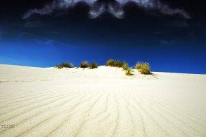 sand, Desert, Landscape, Shrubs