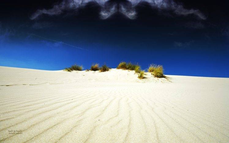 sand, Desert, Landscape, Shrubs HD Wallpaper Desktop Background