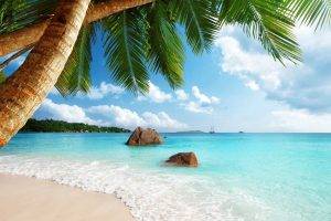 Seychelles, Beach, Sand, Palm Trees, Sea, Tropical, Summer, Exotic, Landscape, Clouds
