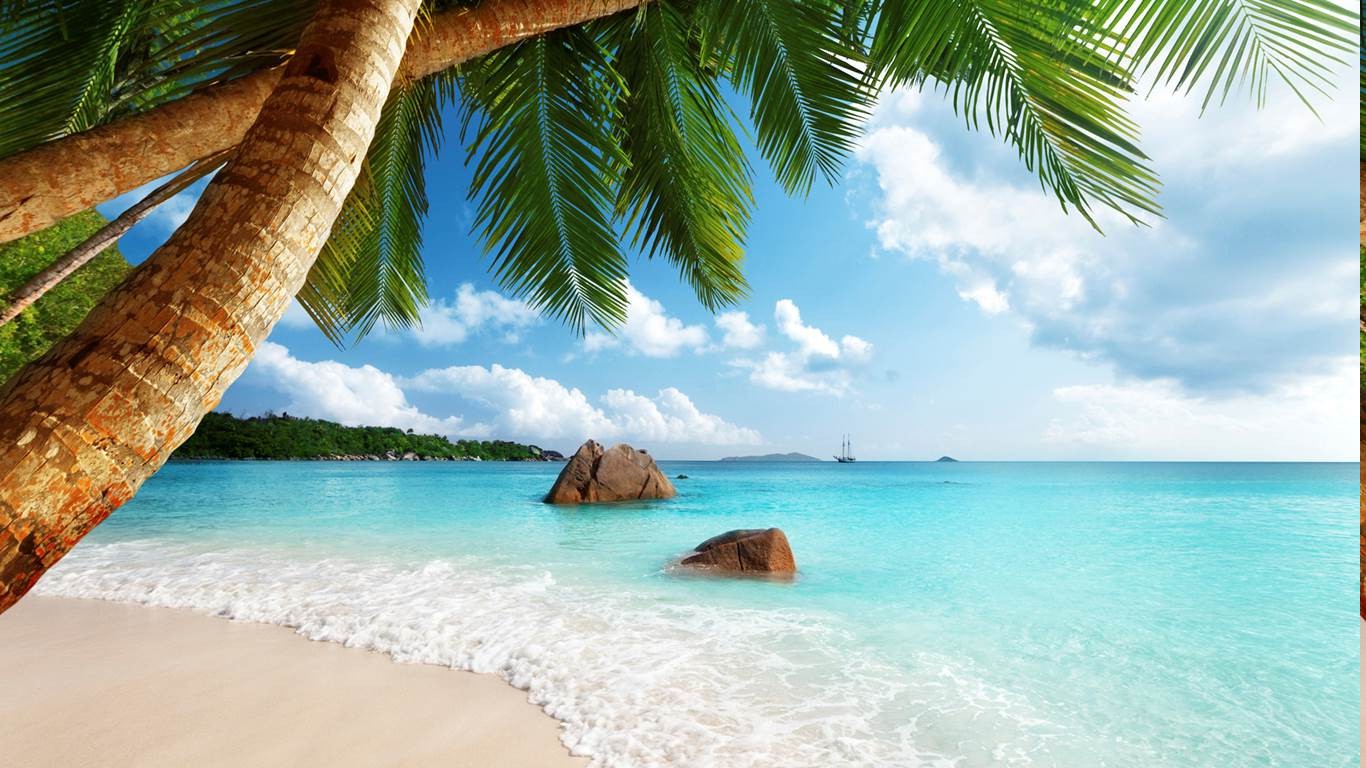 Seychelles, Beach, Sand, Palm Trees, Sea, Tropical, Summer, Exotic, Landscape, Clouds Wallpaper
