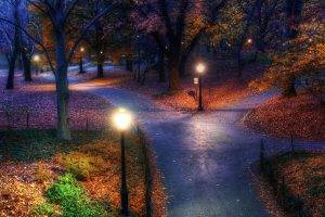 fall, Park, New York City, Trees, Walkway, Street Light, Evening, Nature, Landscape