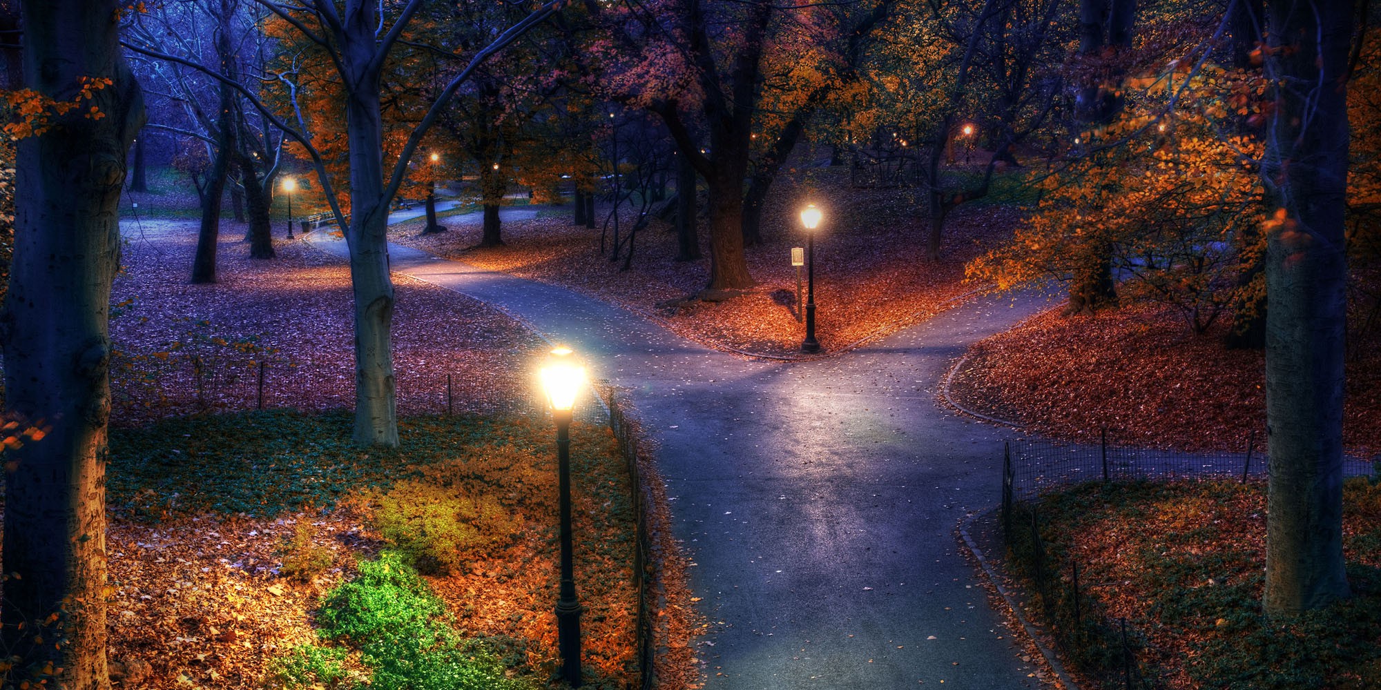 fall, Park, New York City, Trees, Walkway, Street Light, Evening