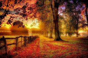 morning, Fence, Fall, Sunrise, Trees, Field, Clouds, Mist, Nature, Landscape, Red, Yellow, Green