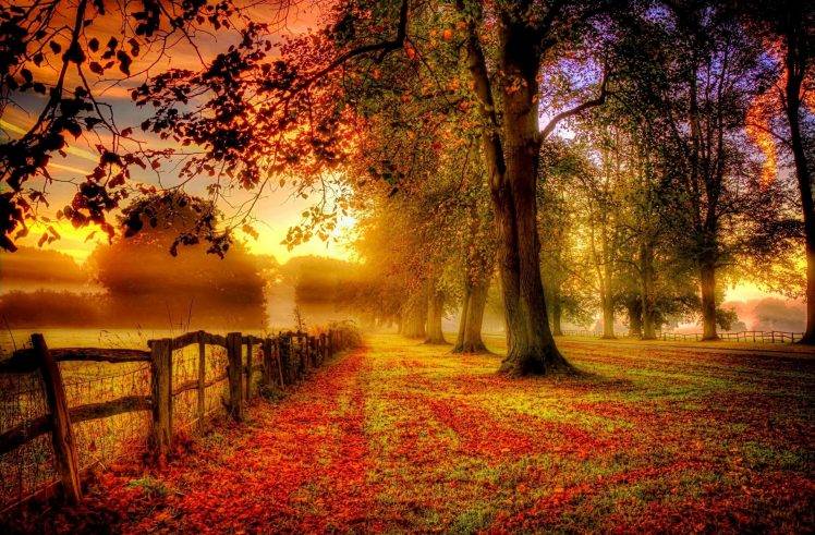 morning, Fence, Fall, Sunrise, Trees, Field, Clouds, Mist, Nature, Landscape, Red, Yellow, Green HD Wallpaper Desktop Background