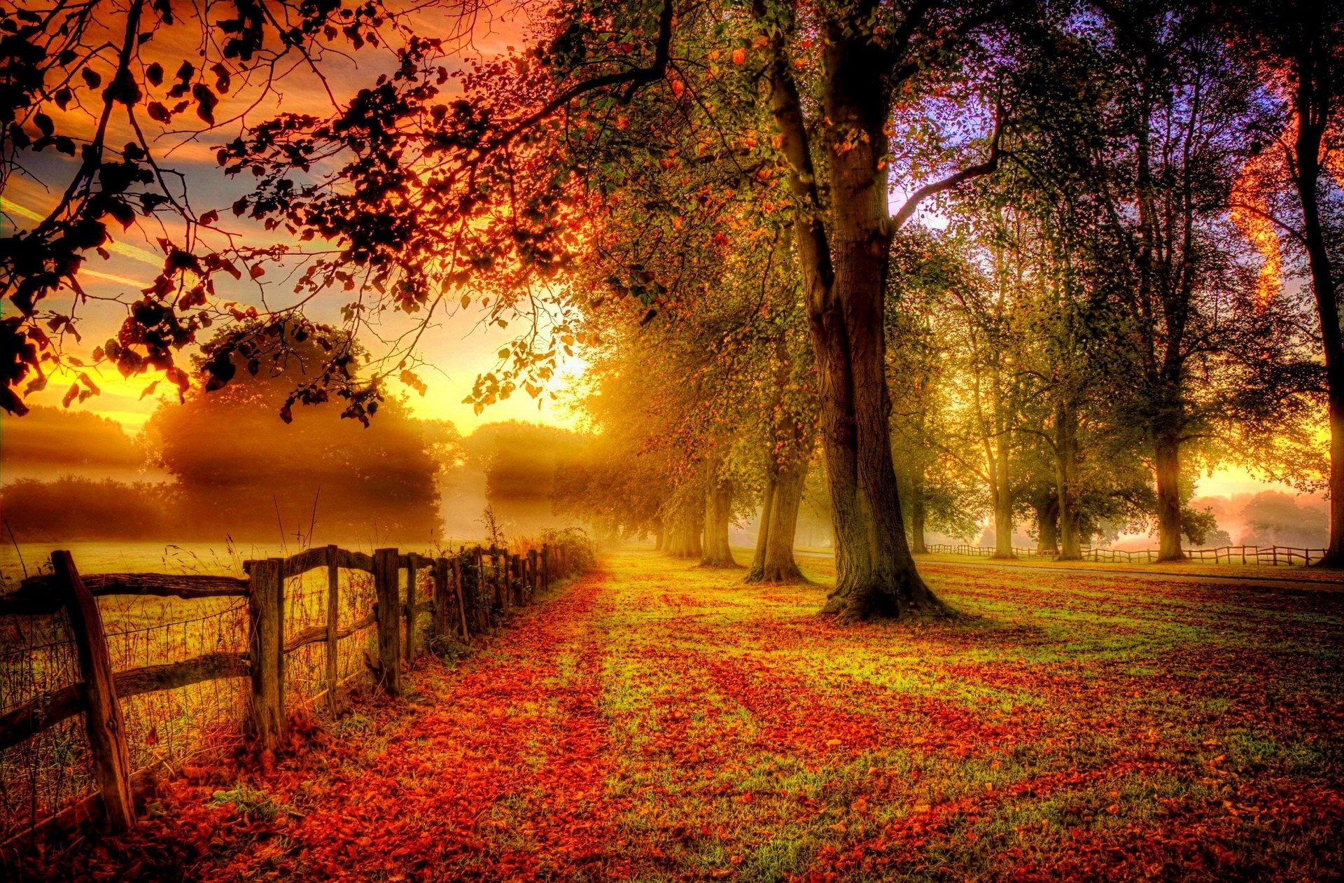 morning, Fence, Fall, Sunrise, Trees, Field, Clouds, Mist, Nature, Landscape, Red, Yellow, Green Wallpaper