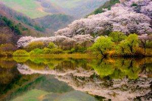 spring, Forest, Mountain, Lake, Reflection, Blossoms, Trees, Nature, Landscape