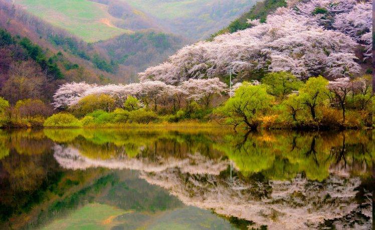 spring, Forest, Mountain, Lake, Reflection, Blossoms, Trees, Nature, Landscape HD Wallpaper Desktop Background