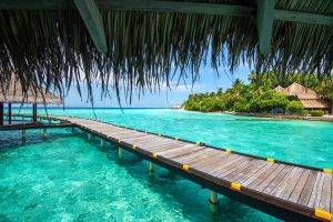 Maldives, Resort, Sea, Beach, Tropical, Palm Trees, Summer, Vacations, Walkway, Turquoise, Water, Nature, Landscape