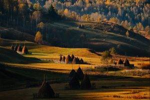 fall, Sunrise, Field, Forest, Grass, Romania, Trees, Hill, Nature, Landscape, Fence