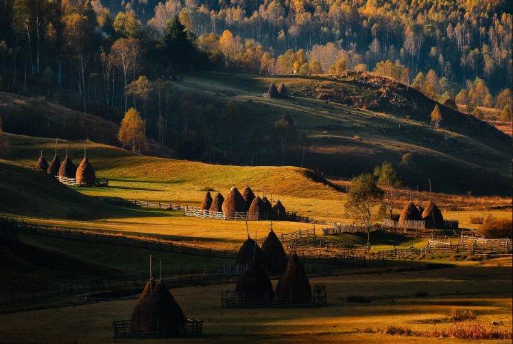 fall, Sunrise, Field, Forest, Grass, Romania, Trees, Hill, Nature, Landscape, Fence HD Wallpaper Desktop Background