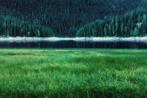 green, Lake, Mountain, Forest, Grass, Spring, Water, Panoramas, Trees, Nature, Landscape