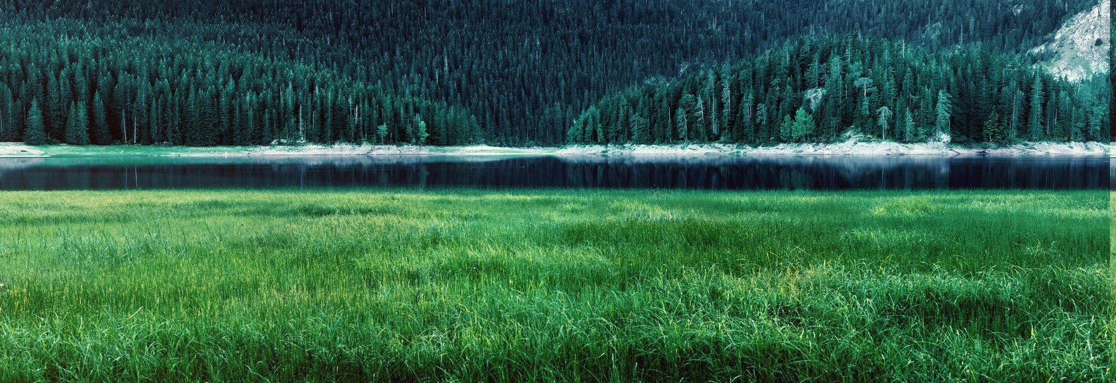 green, Lake, Mountain, Forest, Grass, Spring, Water, Panoramas, Trees, Nature, Landscape Wallpaper