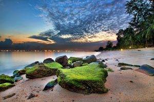 beach, Palm Trees, Sunrise, Sand, Sea, Clouds, Singapore, Rock, Nature, Landscape, HDR